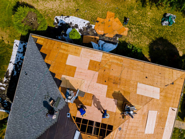 Best Metal Roofing Contractor  in St Leon, IN