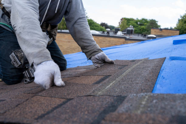 Best Storm Damage Roof Repair  in St Leon, IN