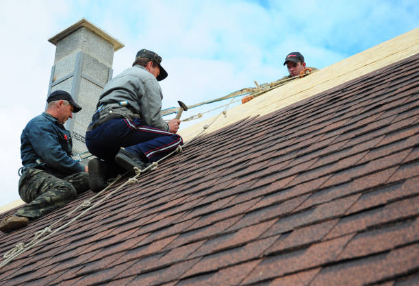 Best Metal Roofing Contractor  in St Leon, IN